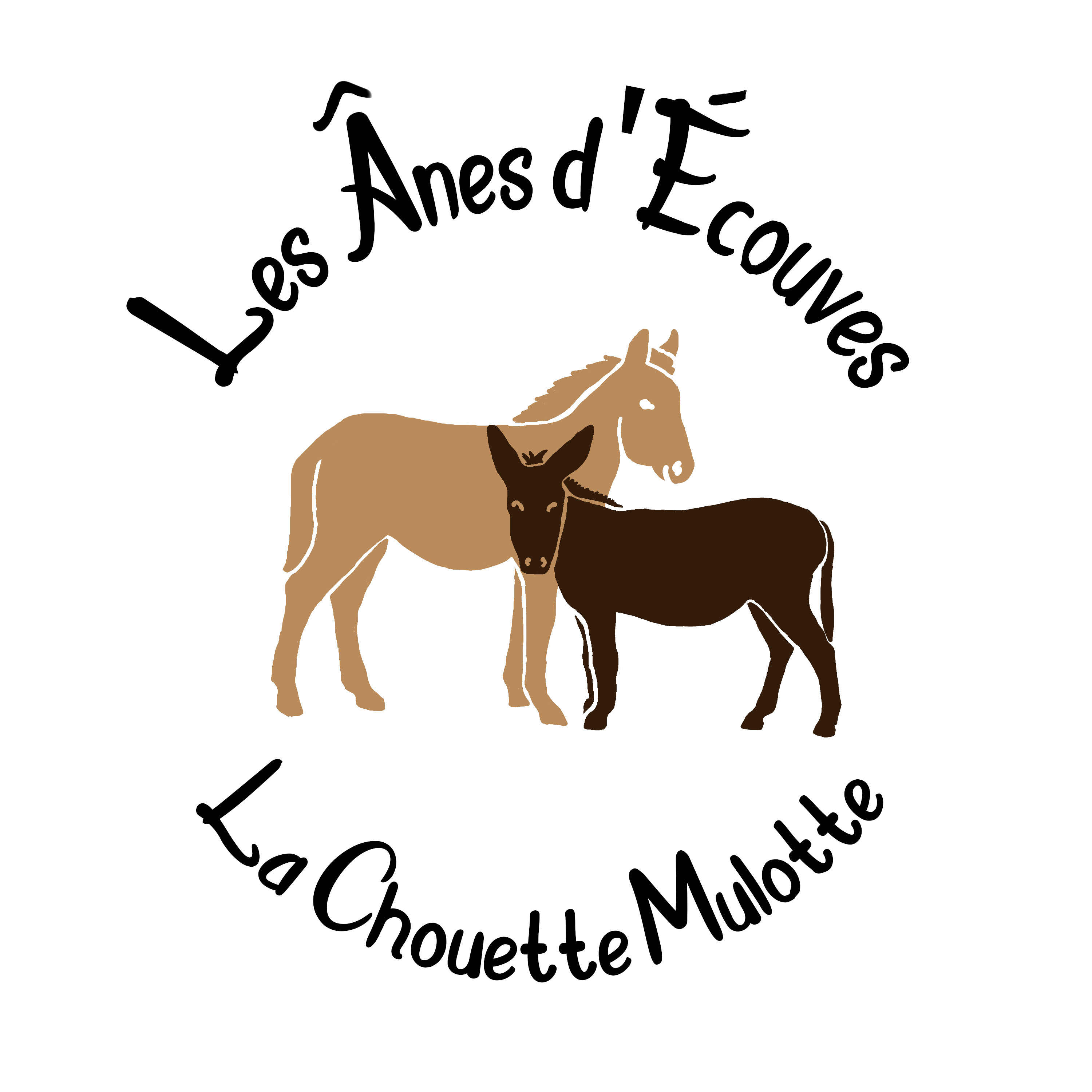 La chouette mulotte – âne en écouves
