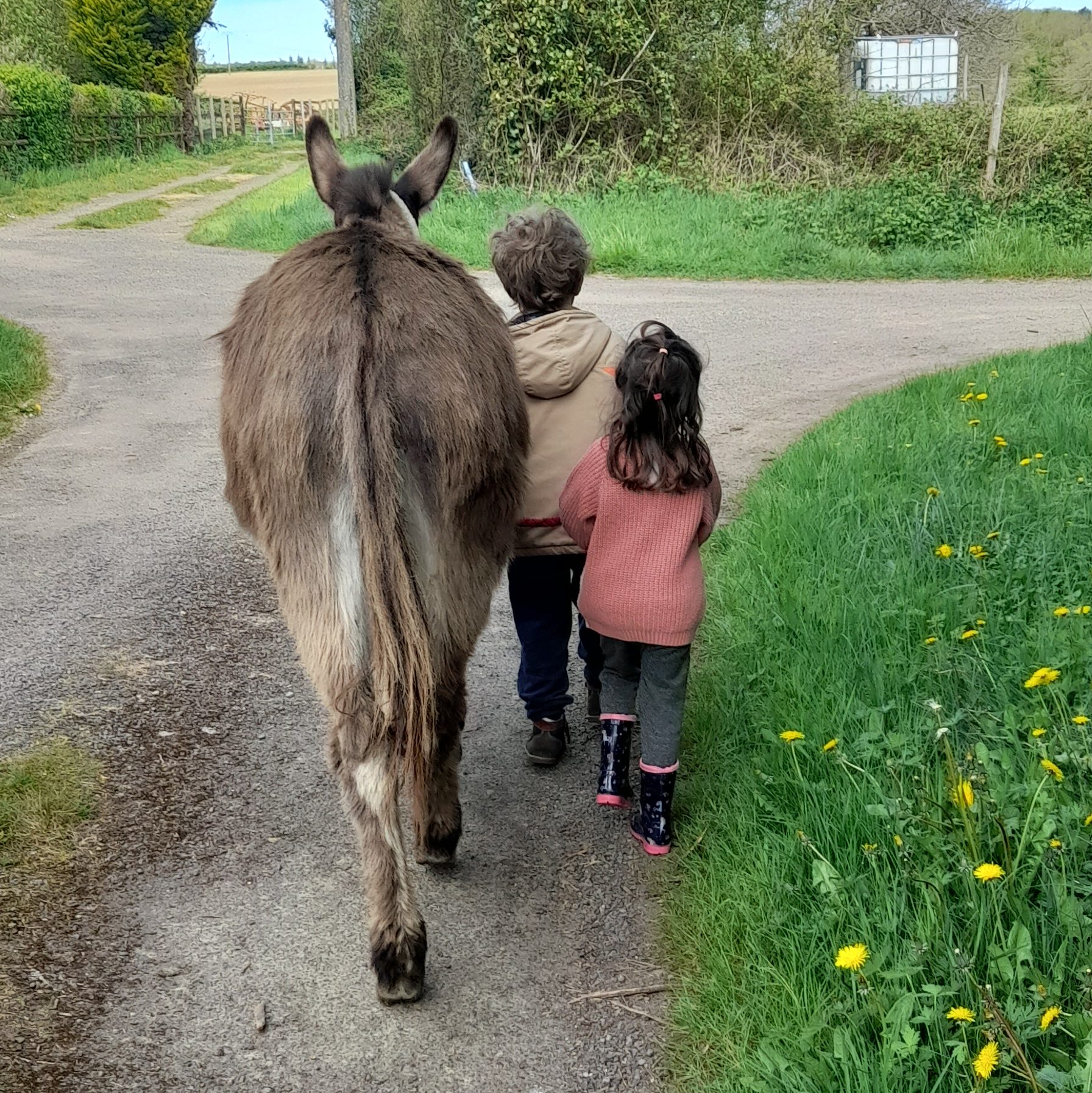 âne guidé par deux enfants
